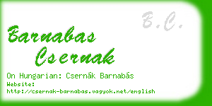 barnabas csernak business card